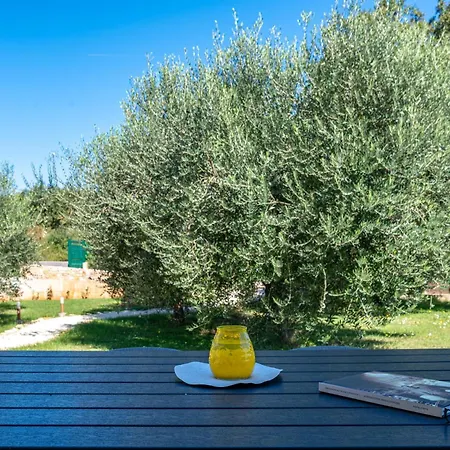 House Reni Villa Medulin