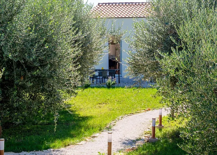 House Reni